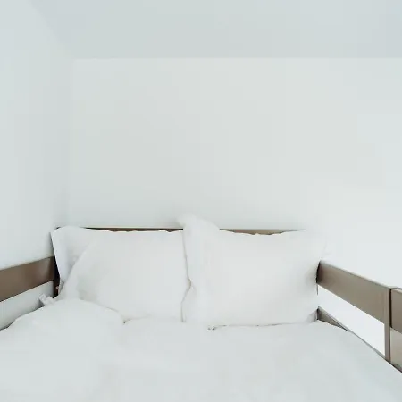 Panoramic Loft Colina Marei Apartment Sinaia
