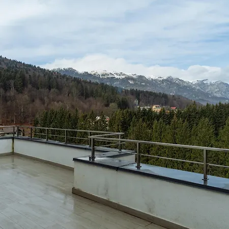 Panoramic Loft Colina Marei Sinaia